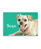 Trent Liu #2309595736