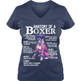 Anatomy Of a Boxer - T-shirts