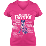 Anatomy Of a Boxer - T-shirts