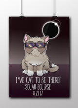 Grumpy Solar Eclipse Cat Poster - August 21st 2017